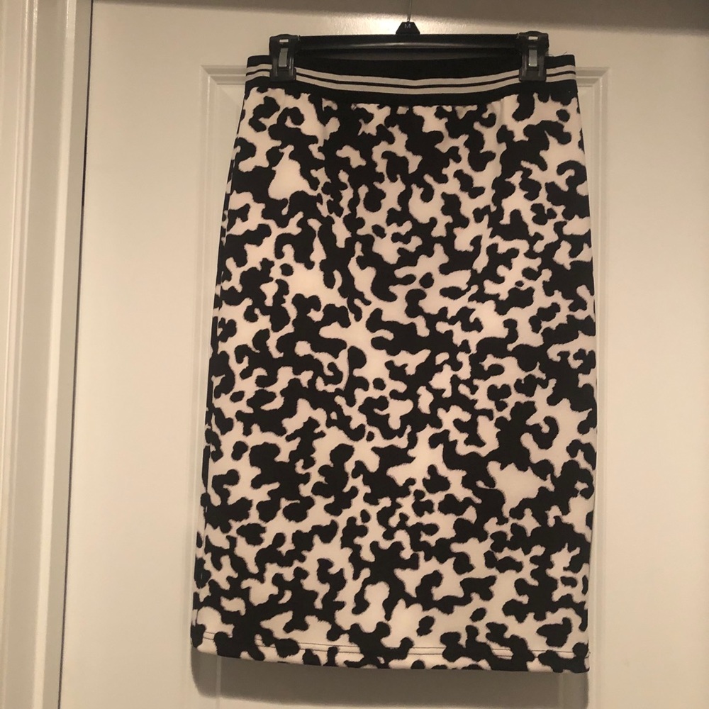 Pencil Skirt